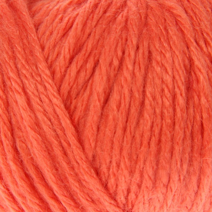 Пряжа "Baby Wool XL" 20% кашемир, 40% меринос. шерсть, 40% акрил 100м/50гр (819 оранжевый)