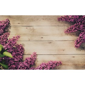 

Фотофон винил "Доски с сиренью" 80х125 см