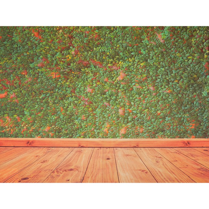 Фотофон винил "Зелёная изгородь" стена+пол 200х150 см
