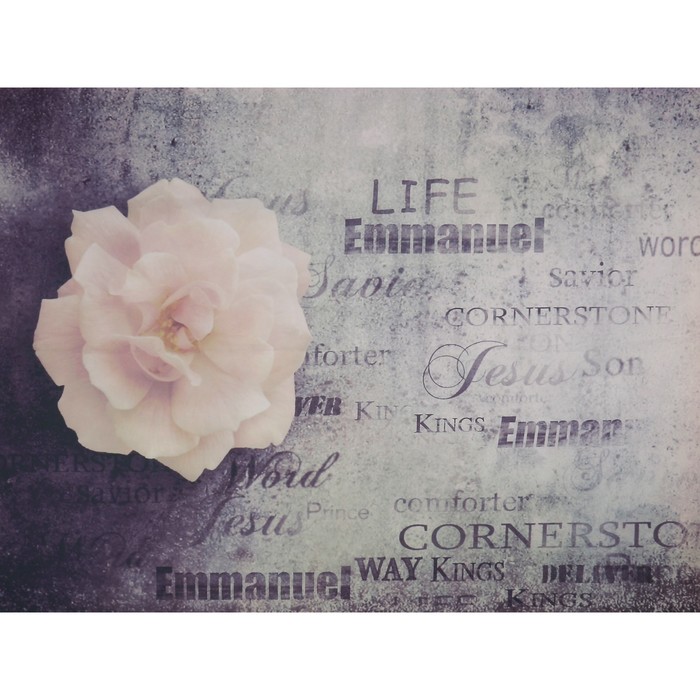 Фотофон винил "Белый цветок и надписи" 200х150 см