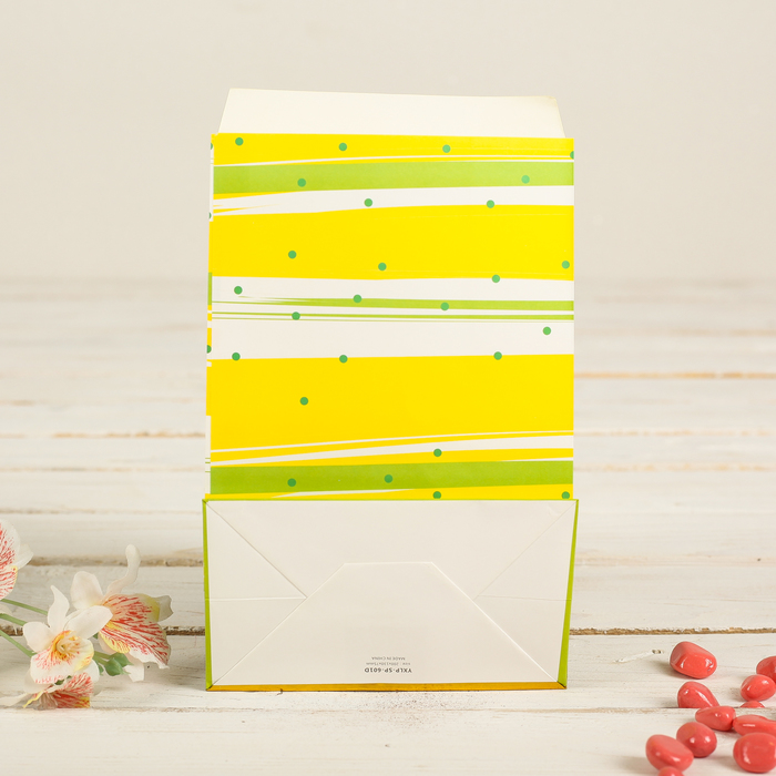 Пакет фасовочный с плоским дном 20 х 13 х 7,5 см