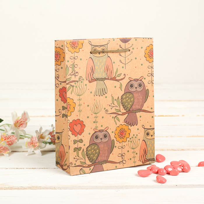 Пакет крафт "Совы", 24 х 8 х 33 см