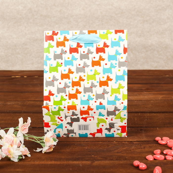 Пакет подарочный, люкс, МИКС, 18 х 8 х 23 см