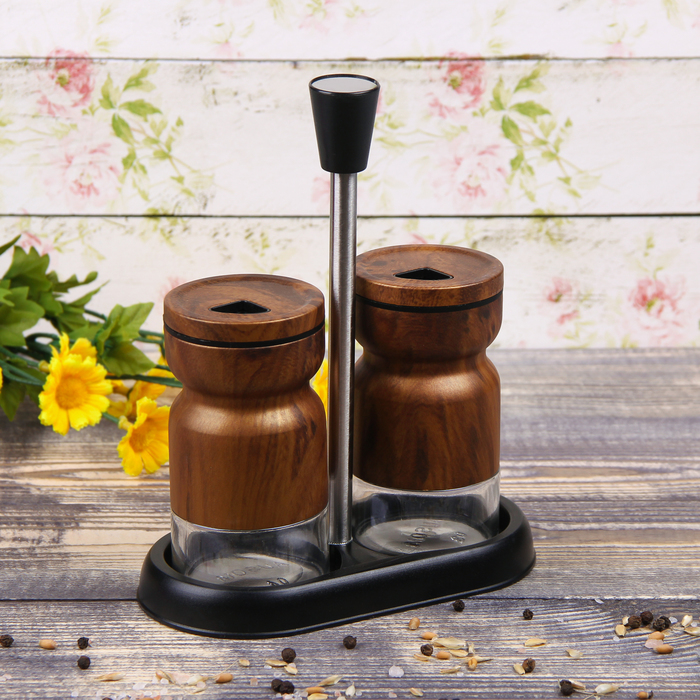 Набор для специй 130 мл "Модерн", 2 шт, цвет коричневый