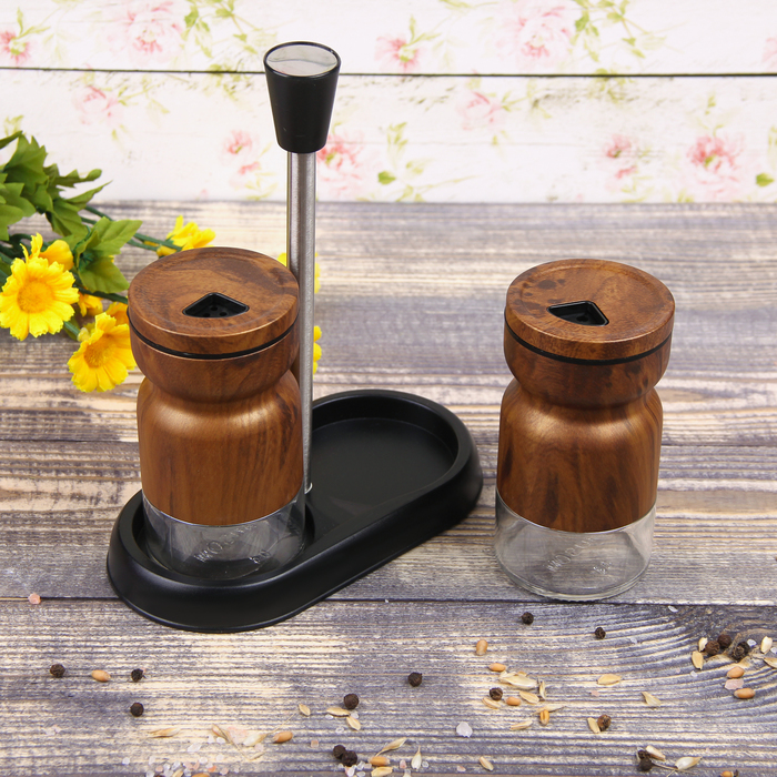 Набор для специй 130 мл "Модерн", 2 шт, цвет коричневый
