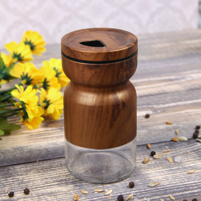 Набор для специй 130 мл "Модерн", 2 шт, цвет коричневый