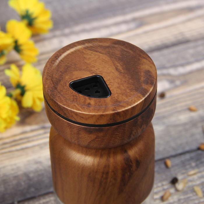 Набор для специй 130 мл "Модерн", 2 шт, цвет коричневый