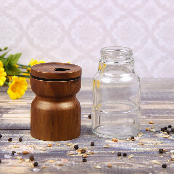 Набор для специй 130 мл "Модерн", 2 шт, цвет коричневый