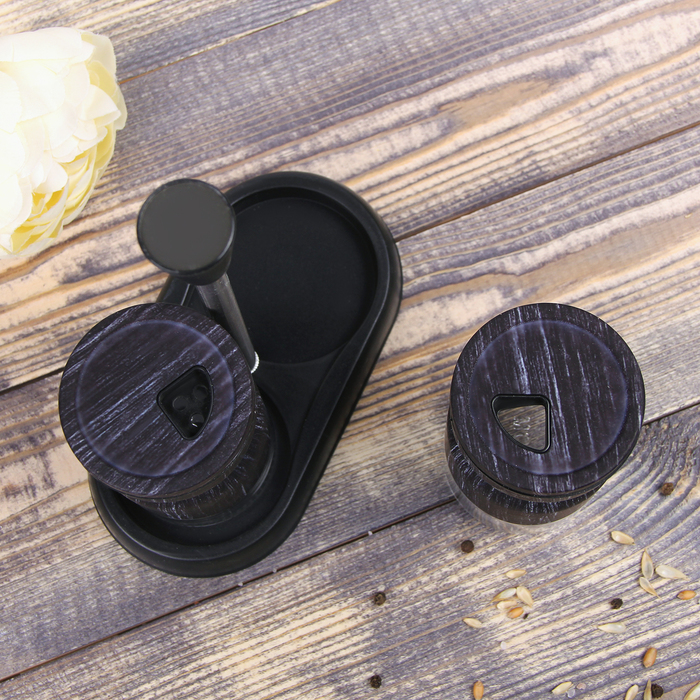 Набор для специй 130 мл "Модерн", 2 шт, цвет черный