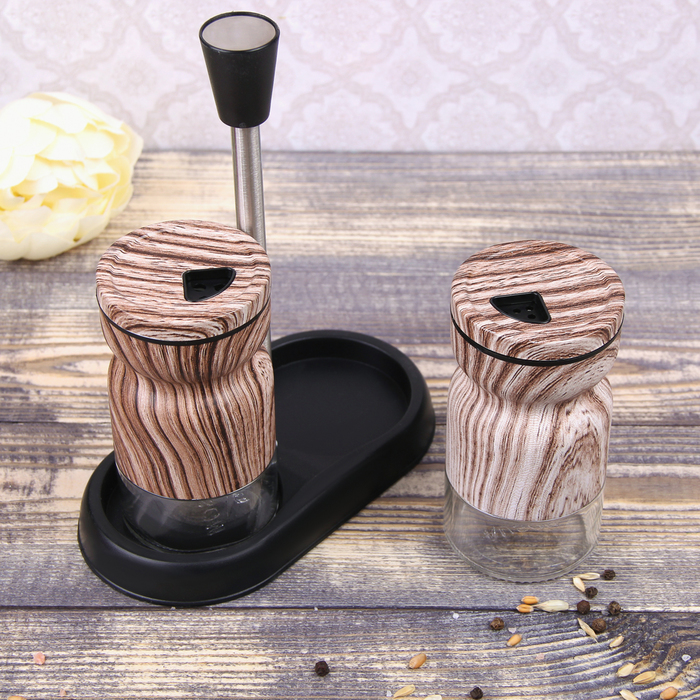 Набор для специй 130 мл "Модерн", 2 шт, цвет коричнево-белый