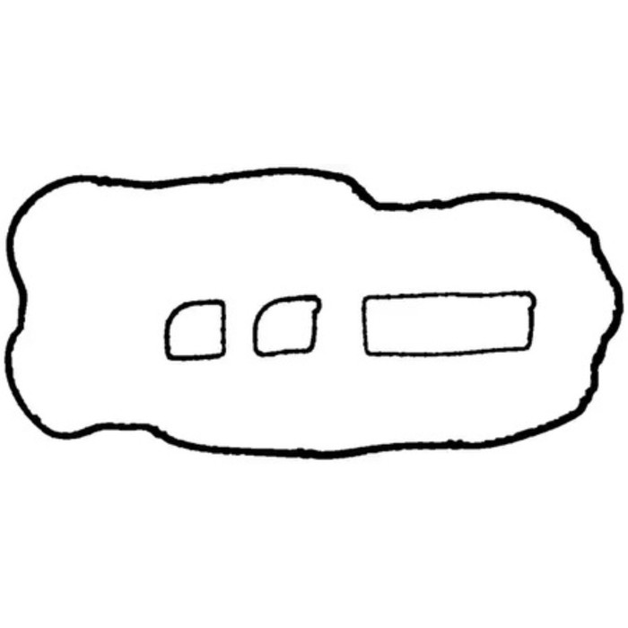 Прокладка клапанной крышки VICTOR REINZ 15-36563-01
