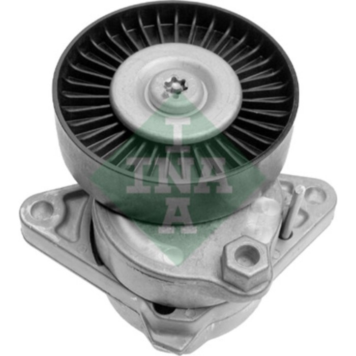 Натяжитель поликлинового ремня INA 534011420