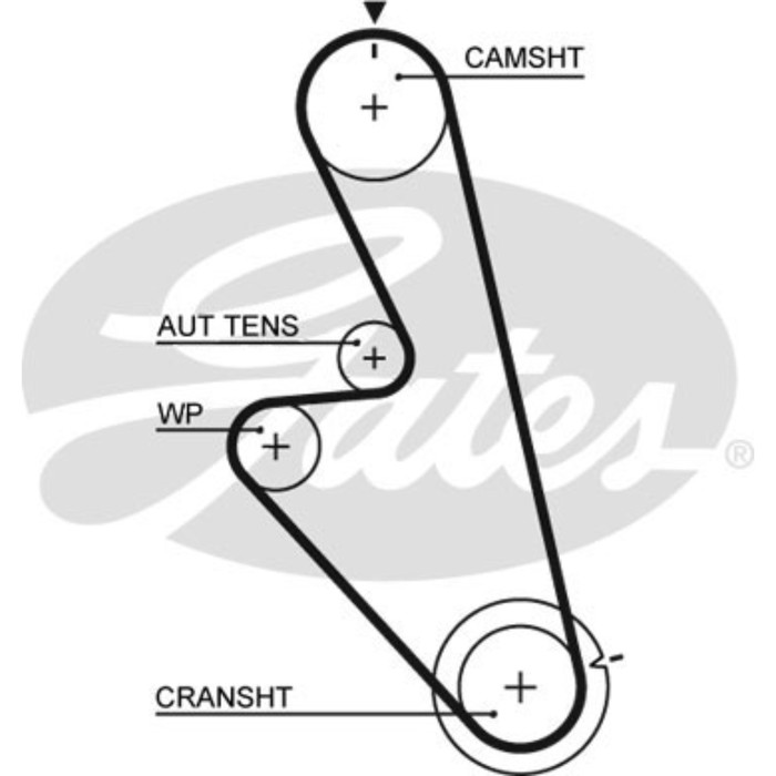 Ремень ГРМ Gates 5449