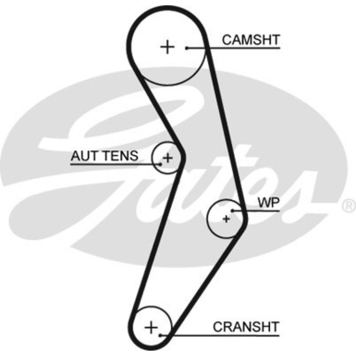 Ремень ГРМ Gates 5503XS