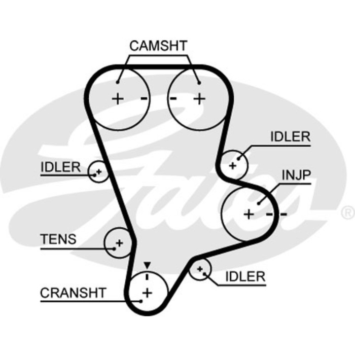 Ремень ГРМ Gates 5644XS