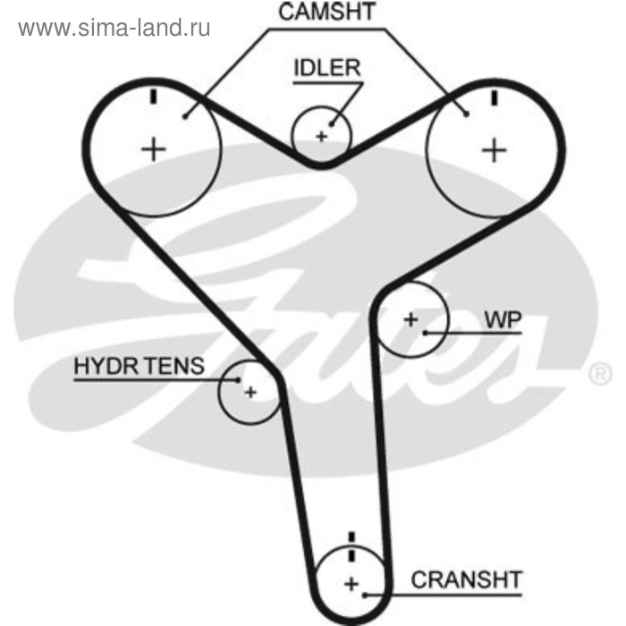 фото Ремень грм gates t257