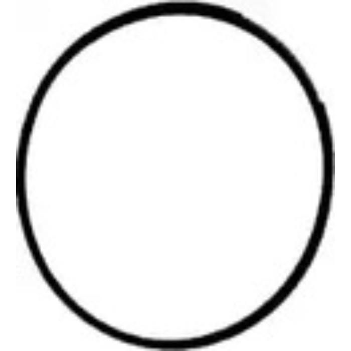 Кольцо уплотнительное VICTOR REINZ 40-77535-00
