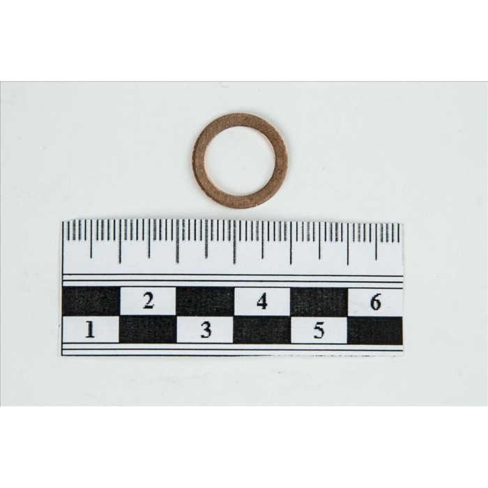 Уплотняющее кольцо REINZ 41-70089-00