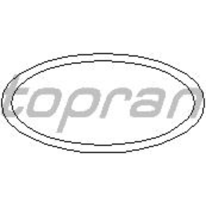 Кольцо уплотнительное крышки бачка расширительного HANS PRIES 103007015