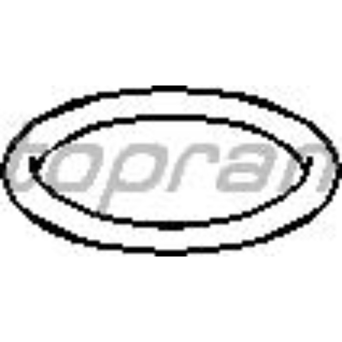 Прокладка термостата HANS PRIES 202325015