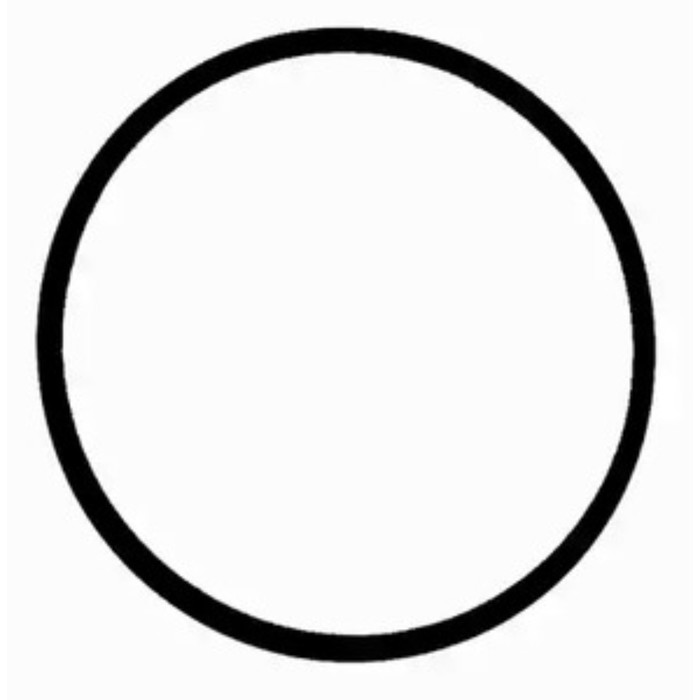 Кольцо уплотнительное VICTOR REINZ 40-77586-00