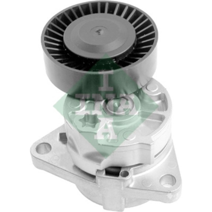 Натяжитель поликлинового ремня INA 534001810