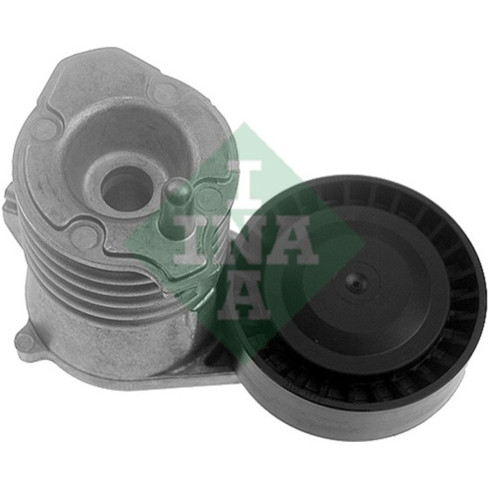 Натяжитель ремня ГРМ INA 534002910