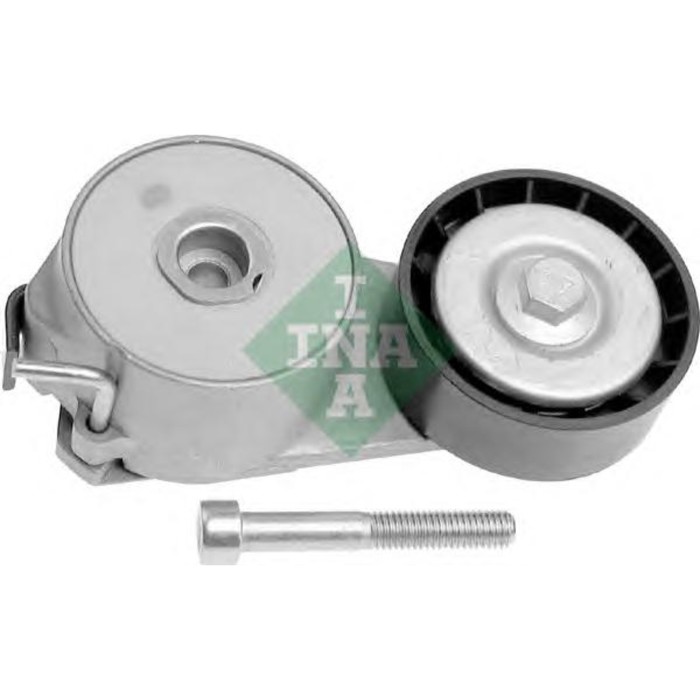 Натяжитель поликлинового ремня INA 534006910