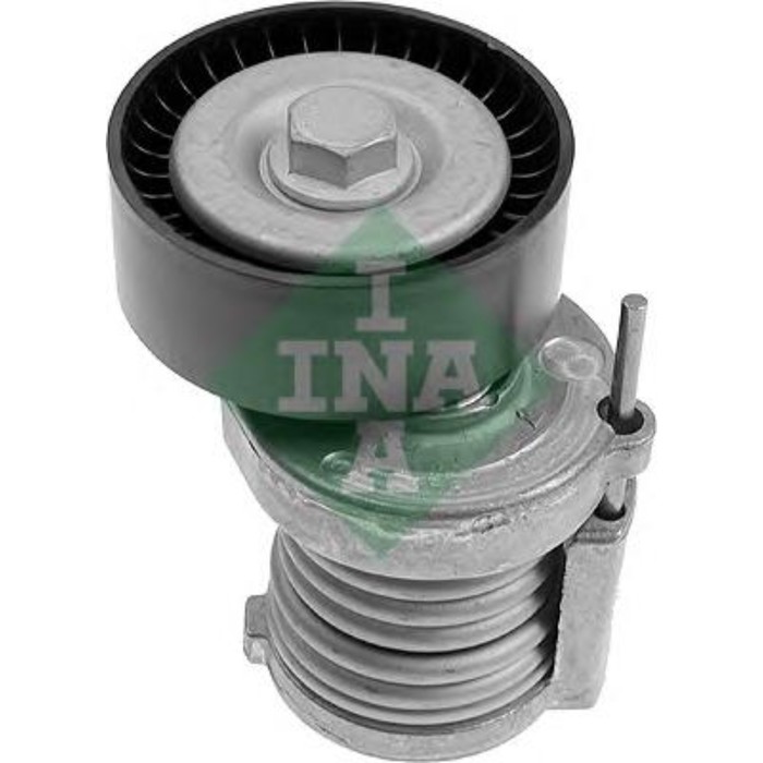 Натяжитель поликлинового ремня INA 534012320