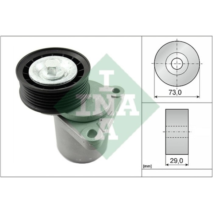 Натяжитель приводного INA 534012820