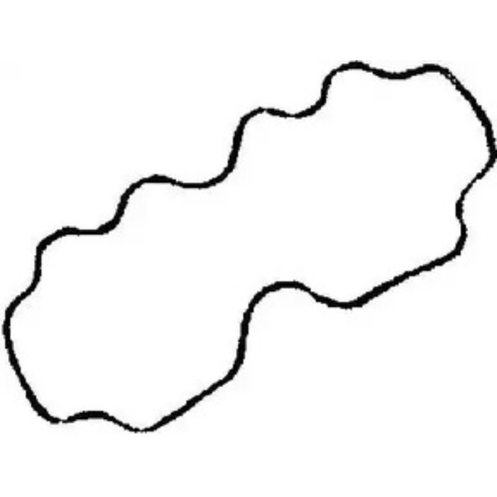 Прокладка клапанной крышки VICTOR REINZ 71-52951-00