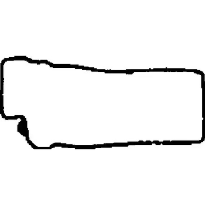 Прокладка клапанной крышки VICTOR REINZ 71-52976-00