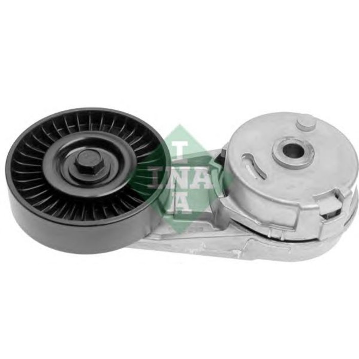 Натяжитель ремня приводного INA 534012430