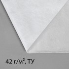Материал укрывной, 5 × 1.6 м, плотность 42, с УФ-стабилизатором, белый, Greengo, Эконом 20%