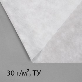 Материал укрывной, 10 × 1.6 м, плотность 30, с УФ-стабилизатором, белый, Greengo, Эконом 20%