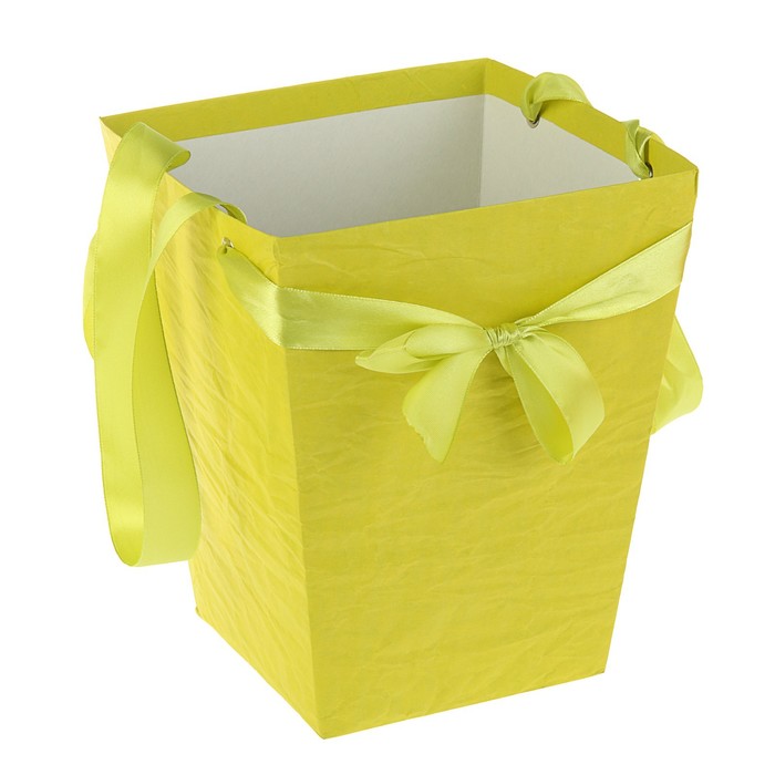 Пакет для цветов из эколюкса, микс, 22,5 х 18 х 18 см