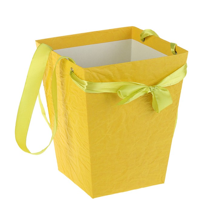 Пакет для цветов из эколюкса, микс, 22,5 х 18 х 18 см