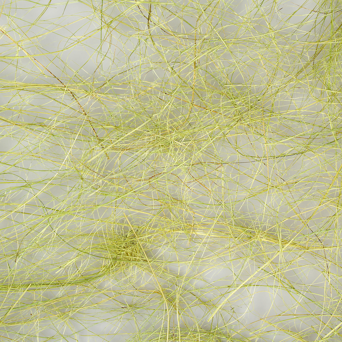 Абака толстая, зелёная, 48 см х 9 м