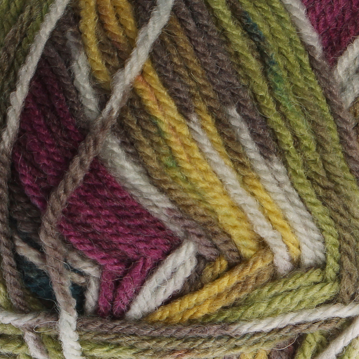 Пряжа "Crazy color" 25% шерсть, 75% акрил 260м/100гр (169 принт)