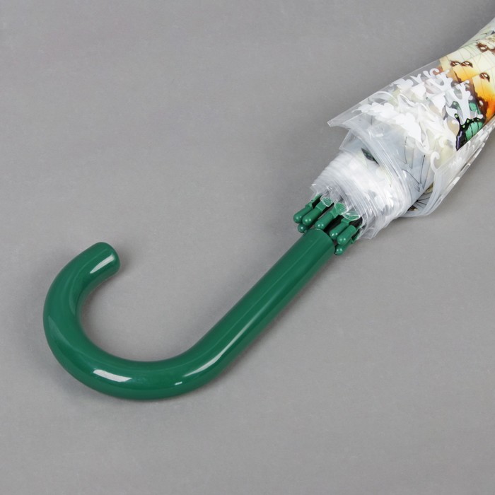 Зонт-трость "Бабочки", полуавтоматический, R=60см, цвет зелёный