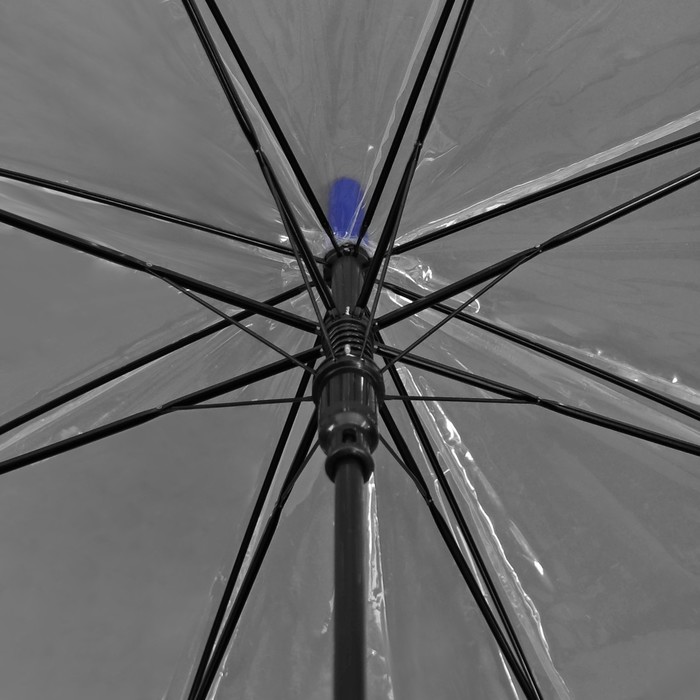 Зонт-трость "Кант", полуавтоматический, R=60см, цвет синий