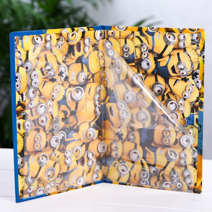 Папка для медицинского полиса "Миньоны" Гадкий Я