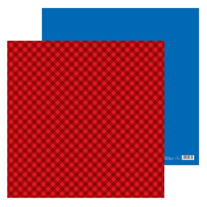 Бумага для скрапбукинга "Летим!", 30.5х30.5 см