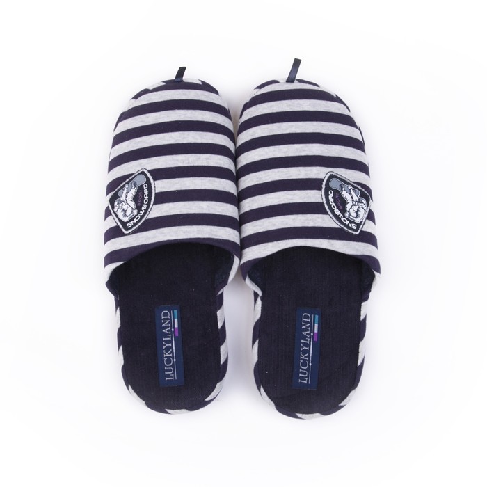 Обувь домашняя мужская1376M-ASC-S (серый/фиолетовый) (р. 42)