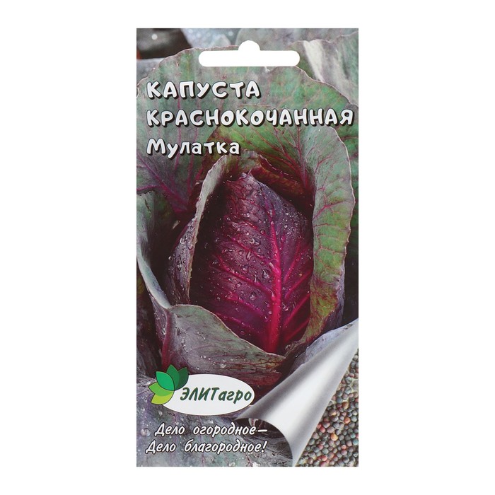 Семена Капуста краснокочанная "Мулатка", 0,3 г