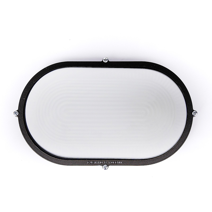 Светильник "ЭЛЕТЕХ" Банник 1201 НПП 03-100-017, 100Вт, IP65, овал матовый, корпус черный