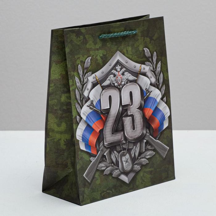 Пакет ламинированный вертикальный «Настоящий Защитник!», MS 18 × 23 × 8 см