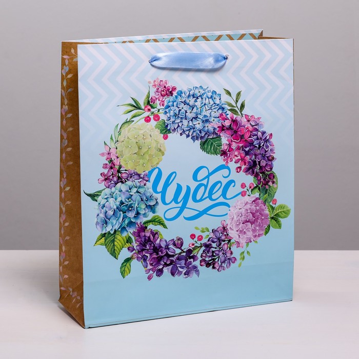 Пакет ламинированный вертикальный «Чудес», ML 23 × 27 × 8 см