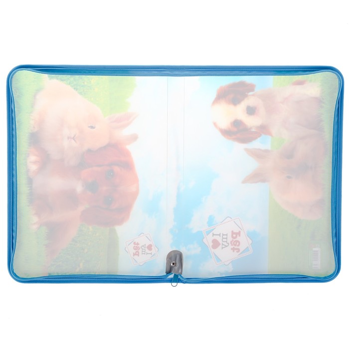 Папка для тетрадей А4, молния вокруг, пластиковая «Щенок и кролик»