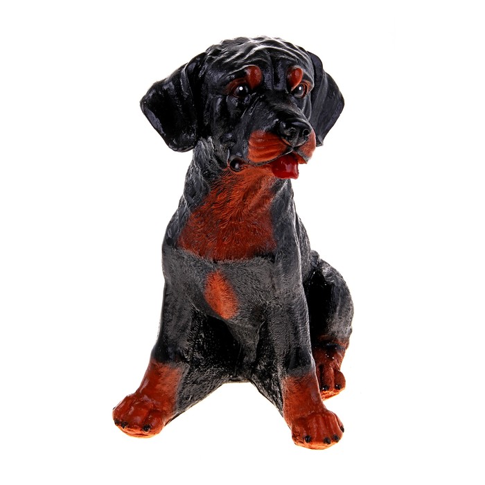 Копилка "Ротвейлер" чёрно-коричневая